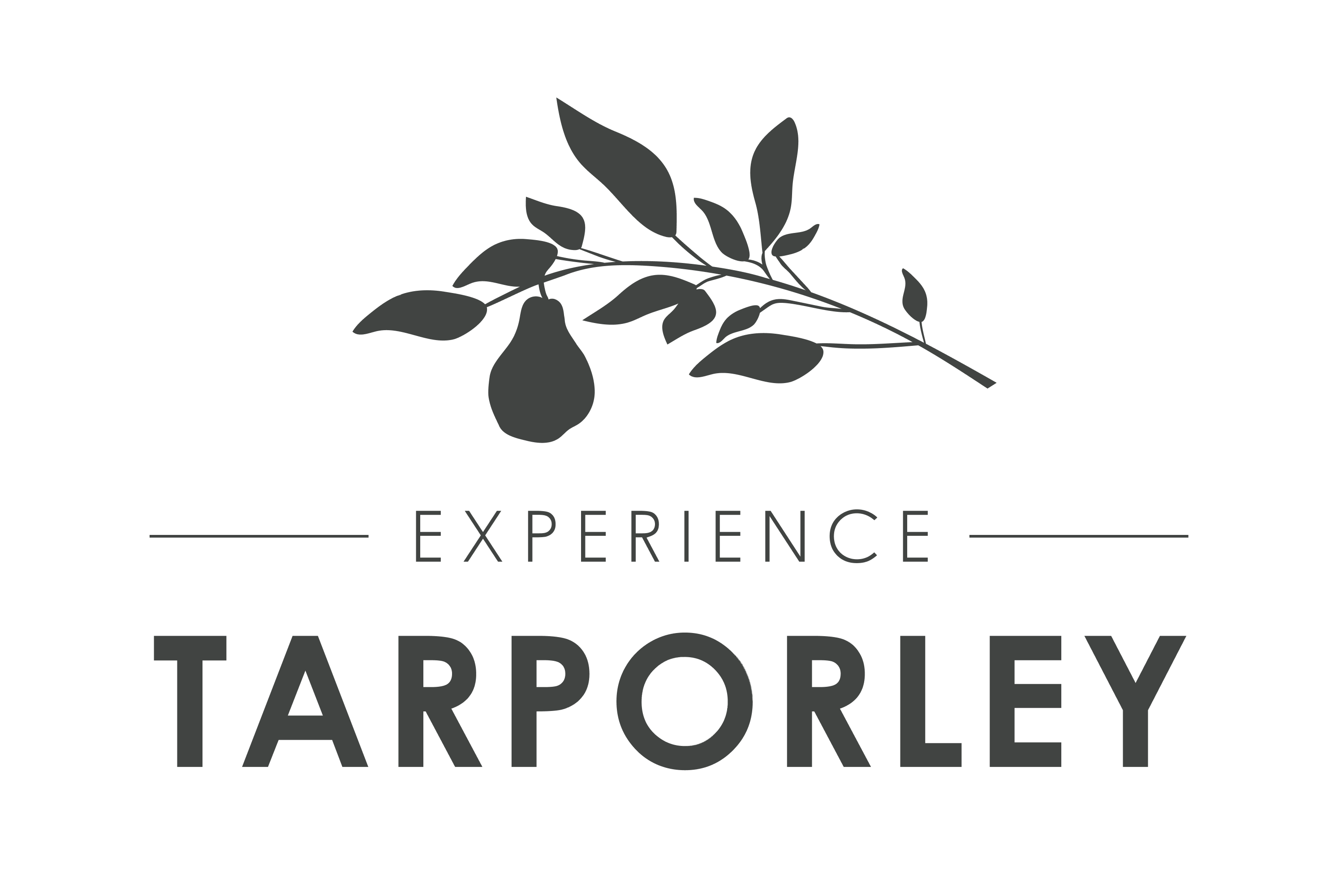 Experience Tarporley